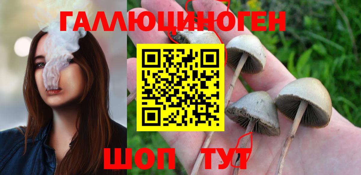 Кизляр  Галлюциногенные грибы прущие грибы  Вход с VPN  Галлюциногенные грибы GOLDEN TEACHER 